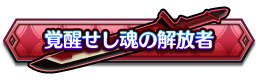 覚醒せし魂の解放者