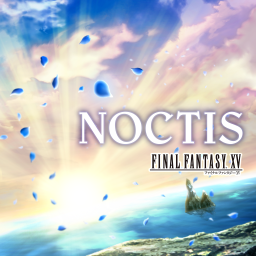 NOCTIS